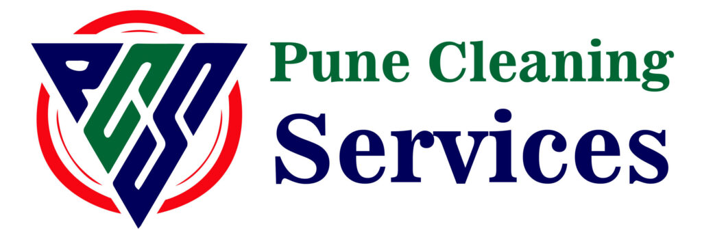 pune cleaning services logo design 01